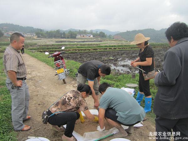 20140616094531457 20140616094531457