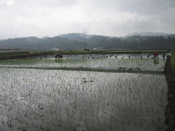 20140616094612218 20140616094612218