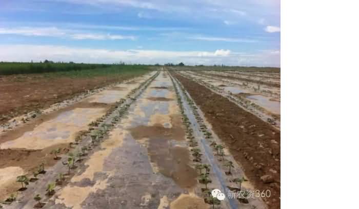 ̸��ɹٷ���վ - רҵ��������ƽ̨