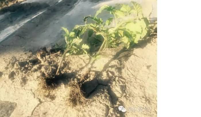 ̸��ɹٷ���վ - רҵ��������ƽ̨