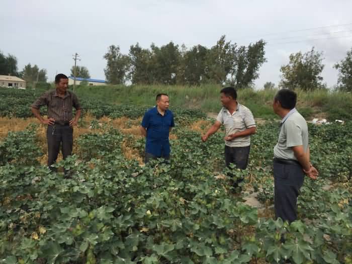 ̸��ɹٷ���վ - רҵ��������ƽ̨