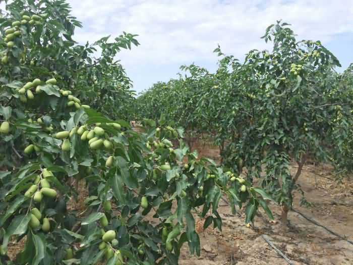 ̸��ɹٷ���վ - רҵ��������ƽ̨