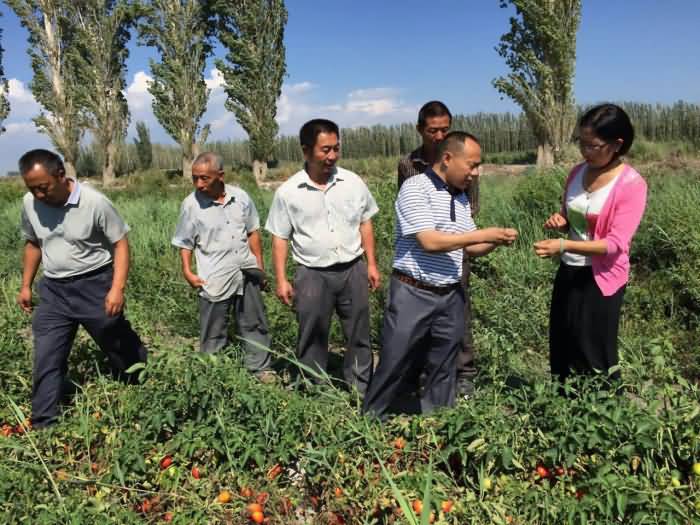 ̸��ɹٷ���վ - רҵ��������ƽ̨