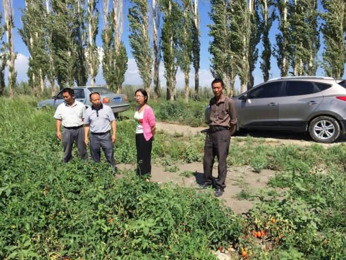 ̸��ɹٷ���վ - רҵ��������ƽ̨