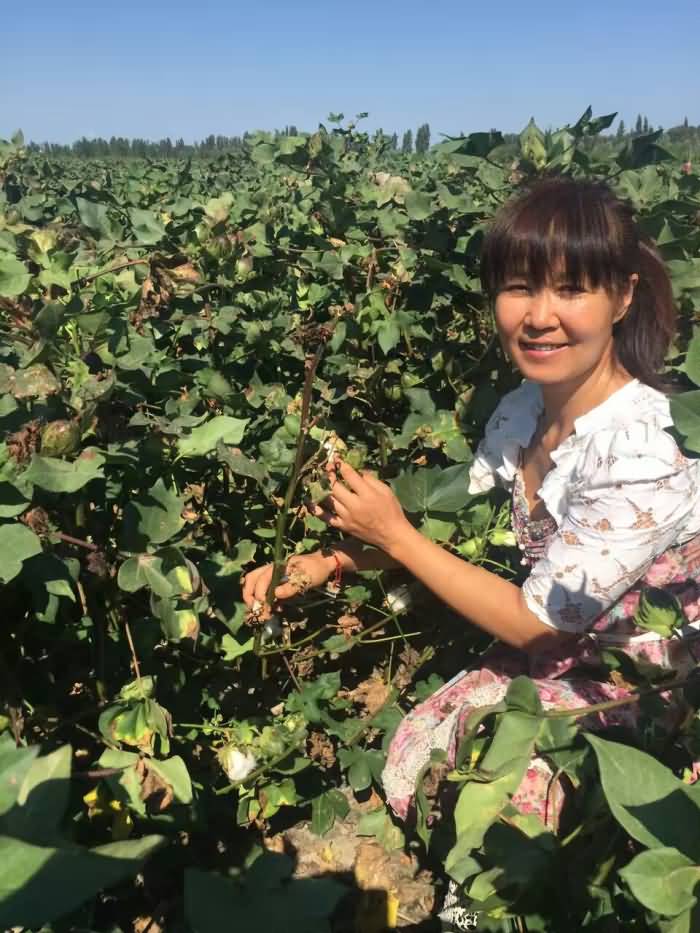 ̸��ɹٷ���վ - רҵ��������ƽ̨