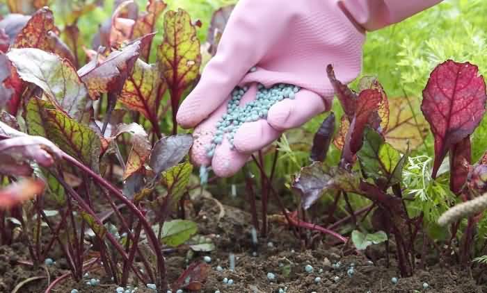 ΢ÐÅͼƬ_20200708214335.jpg ΢ÐÅͼƬ_20200708214335.jpg