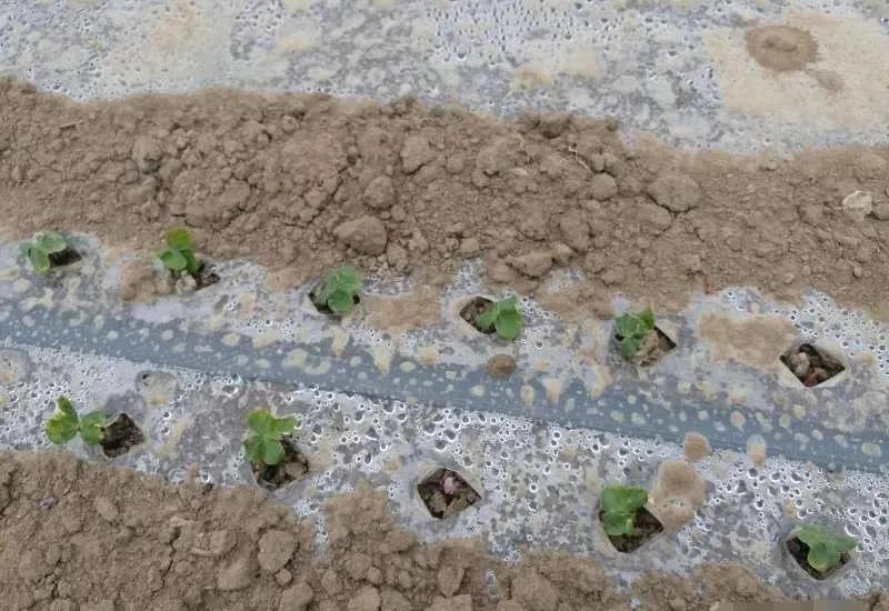 ΢ÐÅͼƬ_20211219135809.jpg ΢ÐÅͼƬ_20211219135809.jpg