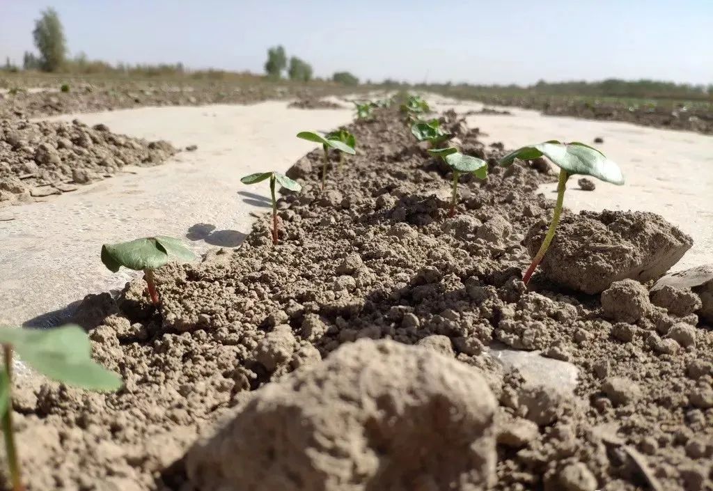 微信图片_20220309215832.jpg 微信图片_20220309215832.jpg