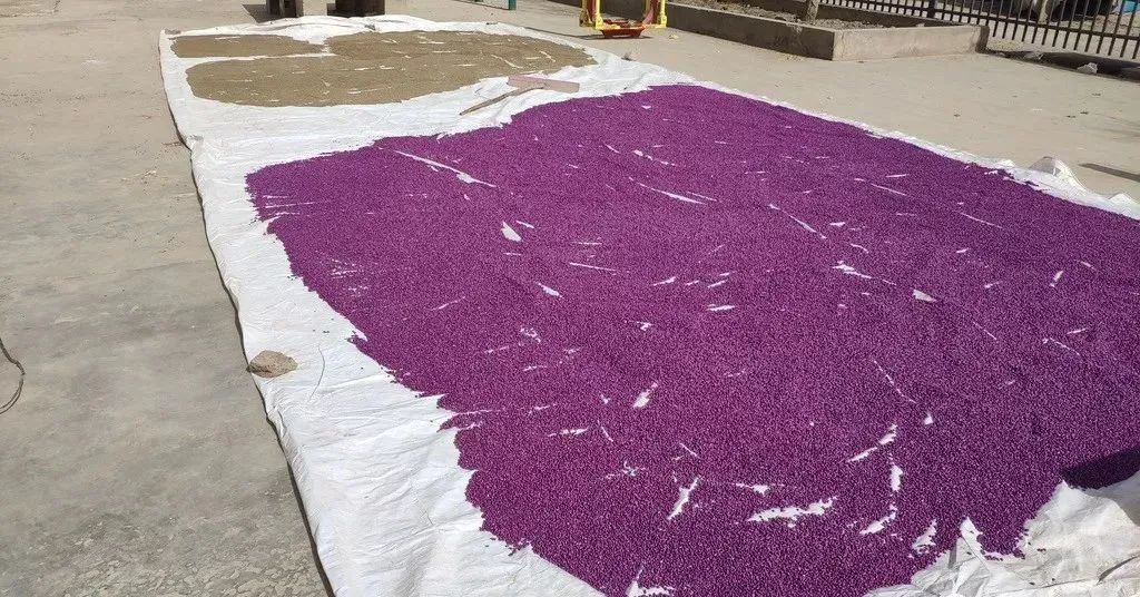 微信图片_20220309215832.jpg 微信图片_20220309215832.jpg